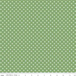 Vera in Basil
