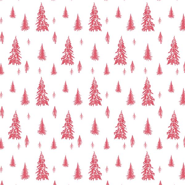 Snowy Pines in Passion
