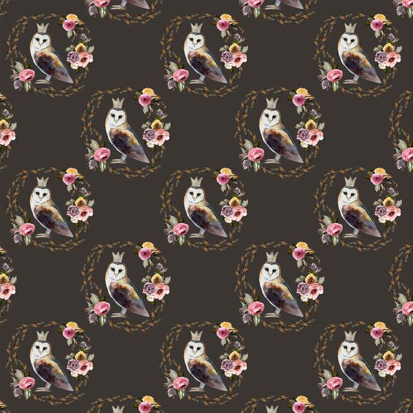 Little Cambridge Owl in Brown