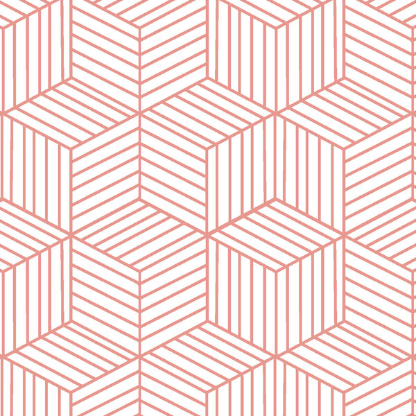 Cubic in Tulip