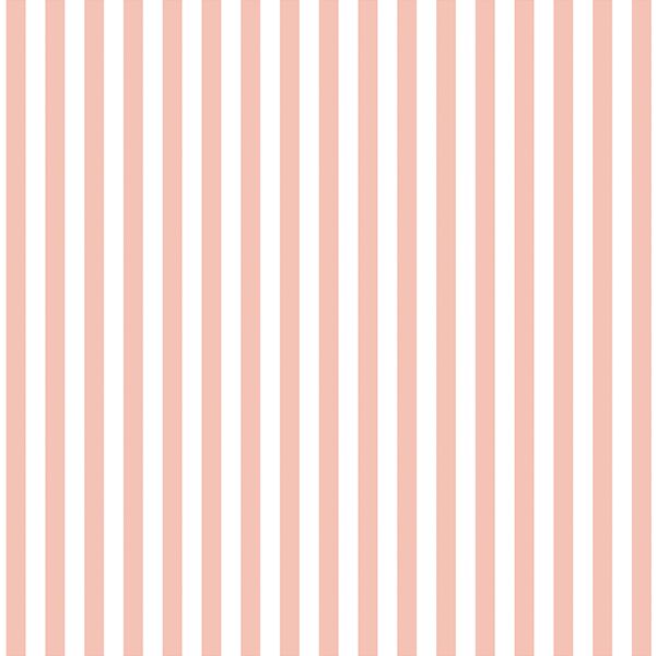Dress Stripe in Petal