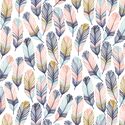 Feathers in Blackbird