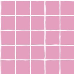 Windowpane in Begonia