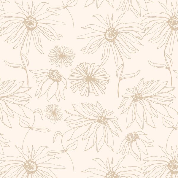 Aster Sketch in Sable on Cloud