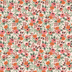 Rosa in Blush