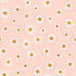 Large Valentine Daisy in Rosy