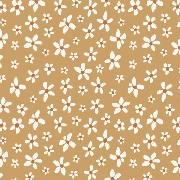 Daisies in Monarch