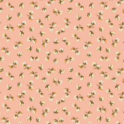 Scattered Cloudberries in Blossom