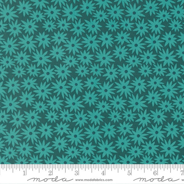 Sedum in Dark Teal