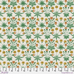 Daisy in Ivory