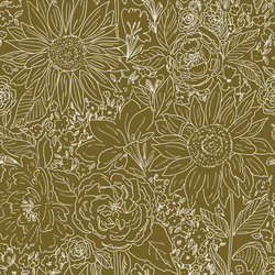 Paperie in Olive