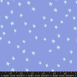 Starry in Dusk