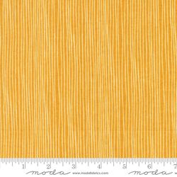 Selva Stripe in Lemon Drop