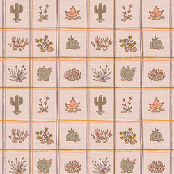 Succulent Garden in Multi