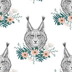 Lynx in Boreal