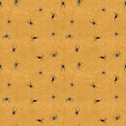 Spiders in Pumpkin
