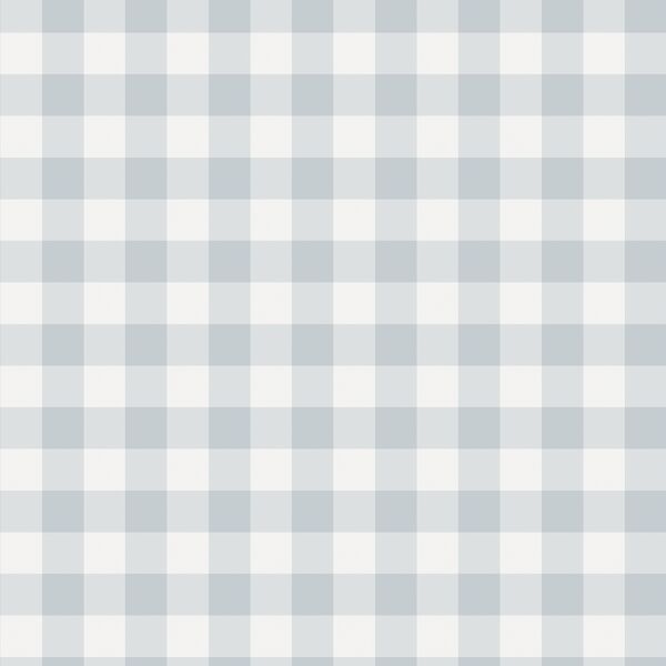 Gingham in Powder Blue