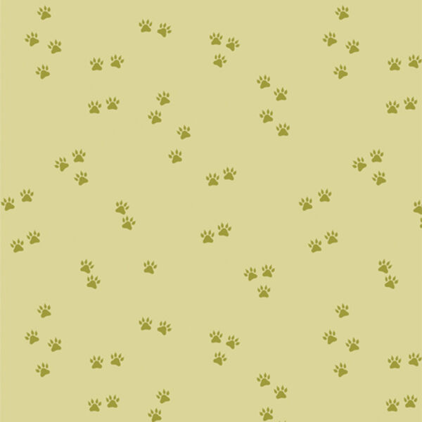 Tracks and Trails in Forest