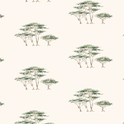 Under the Acacias in Adventure