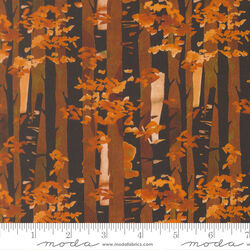 Birch Stripes in Night Sky