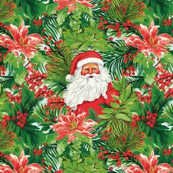 Palm Beach Santa in Christmas