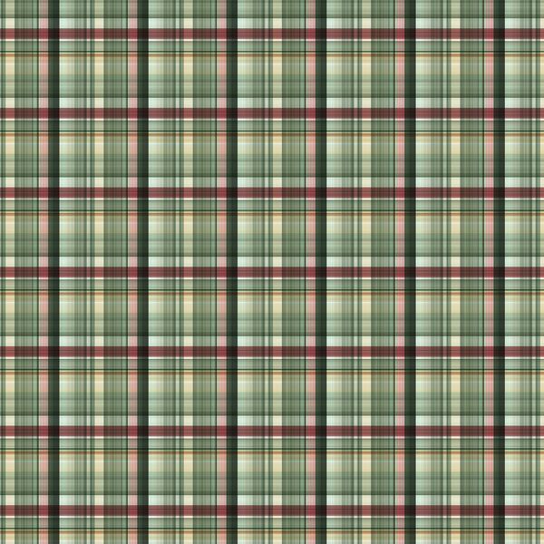Painted Tartan in Holiday