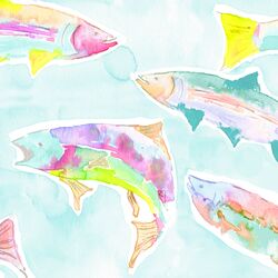 Large A Fresh Catch in Rainbow Trout