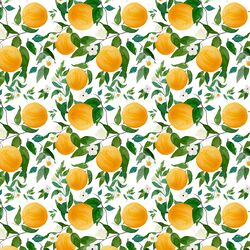 Small Oranges in White