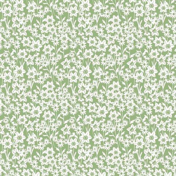 Daffodil Garden in Spring Leaf