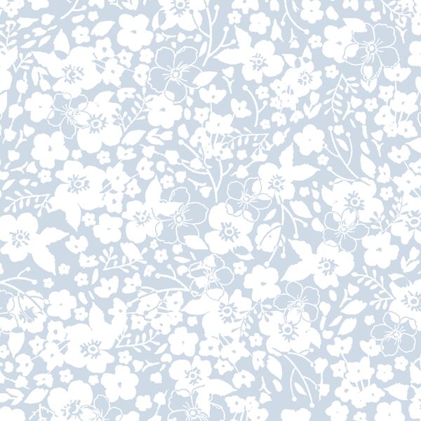 Forget Me Not in Cirrus