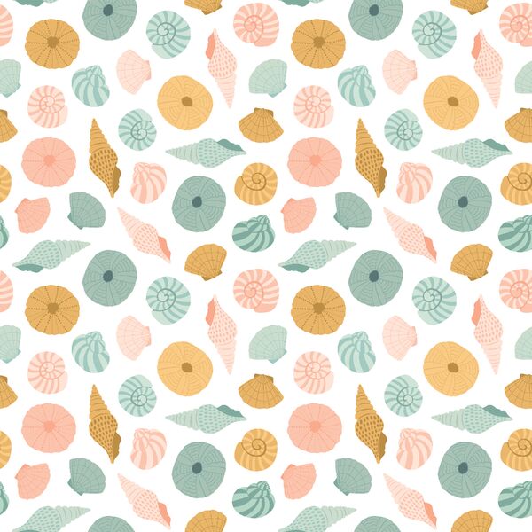 Shells in Reef