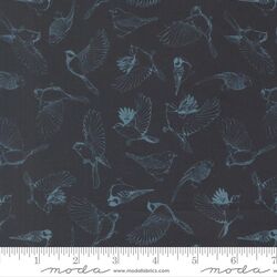 Flock of Feathers in Midnight