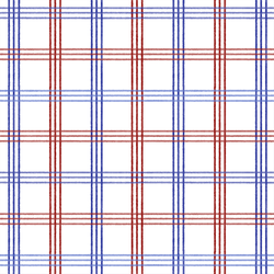 Patriotic Plaid in Americana
