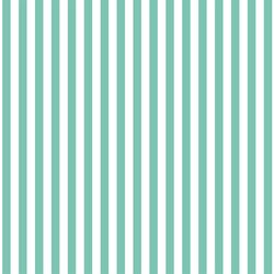 Dress Stripe in Succulent