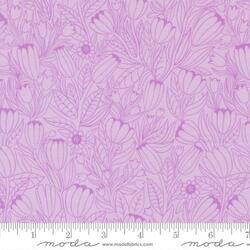 Tulip Lines in Lavender