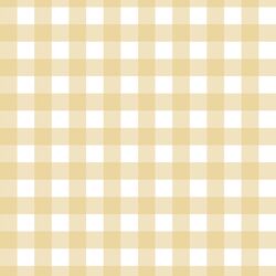 Spring Gingham in Sunlit