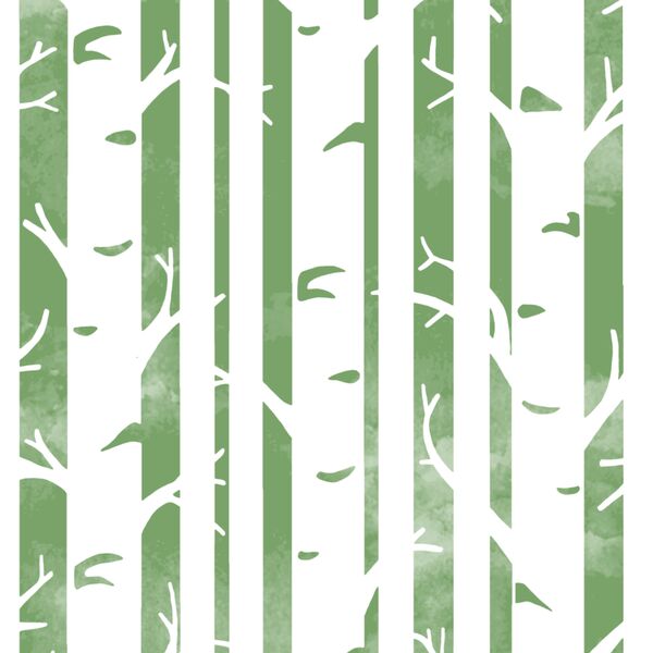 Big Birches in Pistachio