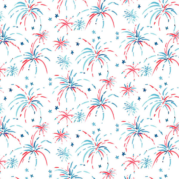 Fireworks in White