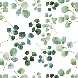 Eucalyptus Leaf in White