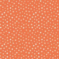 Starry Night in Pumpkin