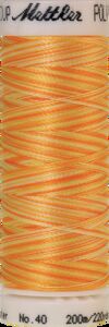 Sunny Rays (4820-9925) - Poly Sheen Multi - 220 Yards