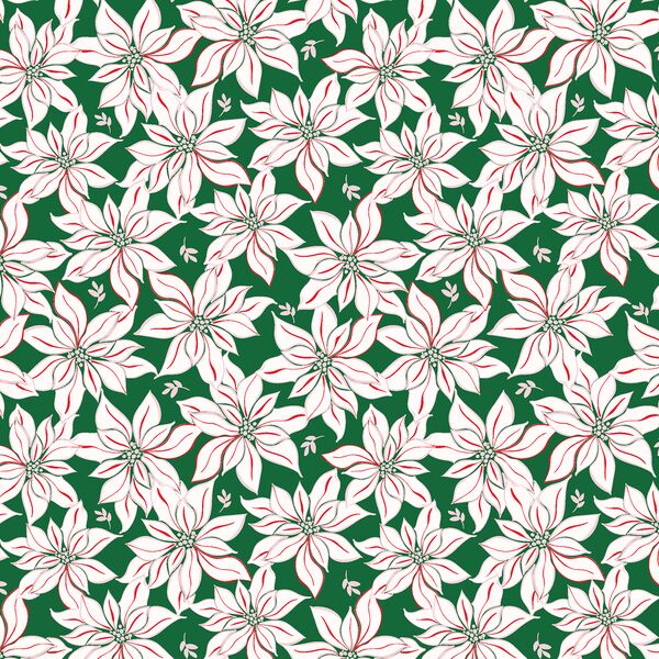 Poinsettia in Pine