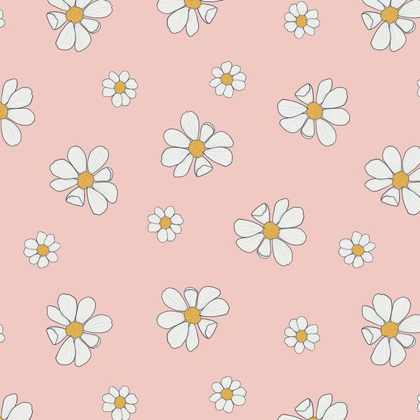 Daisies in Spring Pink