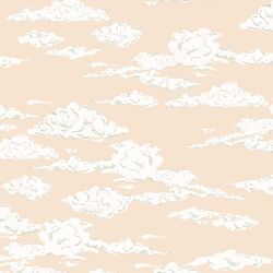Open Sky in Dawn