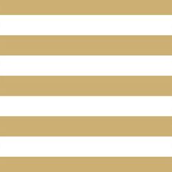 Horizontal Play Stripe in Golden Canyon