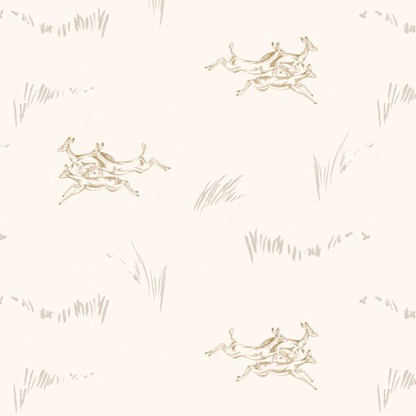 Jumping Impala in Bushveld