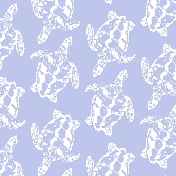 Honu in Tidal