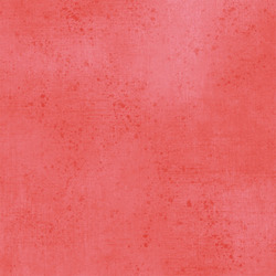Gesso in Salmon
