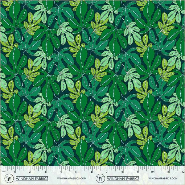 Monstera in Forest