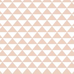 Triangle Mosaic in Shell